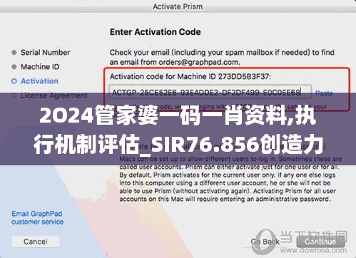 2O24管家婆一码一肖资料,执行机制评估_SIR76.856创造力版