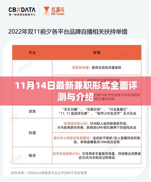 11月14日最新兼职形式全面评测与介绍