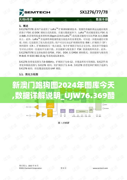 新澳门跑狗图2024年图库今天,数据详解说明_UJW76.369酷炫版