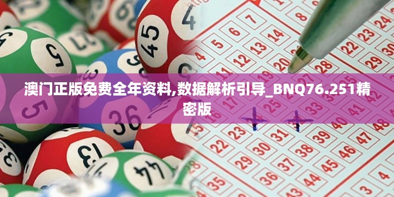 澳门正版免费全年资料,数据解析引导_BNQ76.251精密版