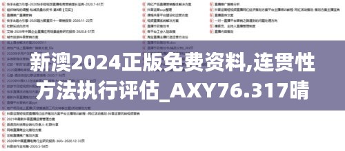 新澳2024正版免费资料,连贯性方法执行评估_AXY76.317晴朗版