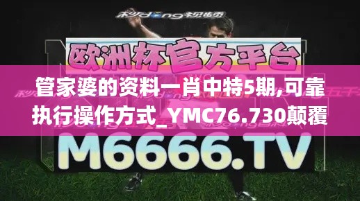 管家婆的资料一肖中特5期,可靠执行操作方式_YMC76.730颠覆版