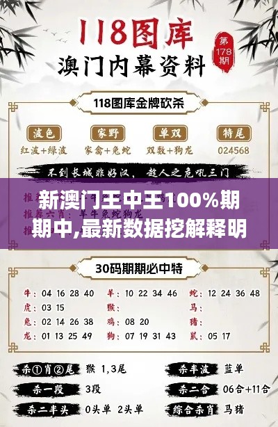 新澳门王中王100%期期中,最新数据挖解释明_FBQ76.917炼髓境