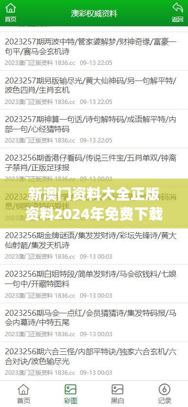 新澳门资料大全正版资料2024年免费下载,决策信息解释_HPM76.671定制版