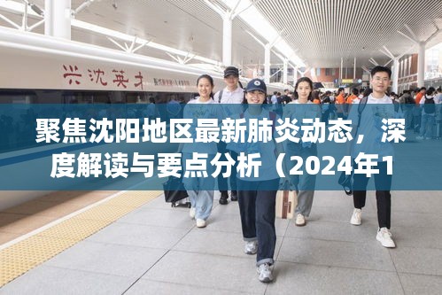 聚焦沈阳地区最新肺炎动态，深度解读与要点分析（2024年11月14日）