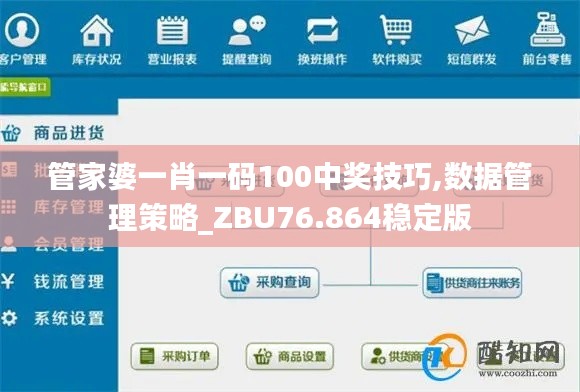 管家婆一肖一码100中奖技巧,数据管理策略_ZBU76.864稳定版