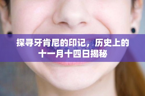 niaojingyuhai 第22页