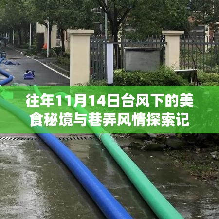 往年11月14日台风下的美食秘境与巷弄风情探索记