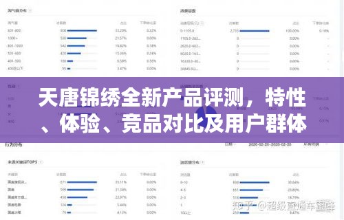 天唐锦绣全新产品评测，特性、体验、竞品对比及用户群体深度解析