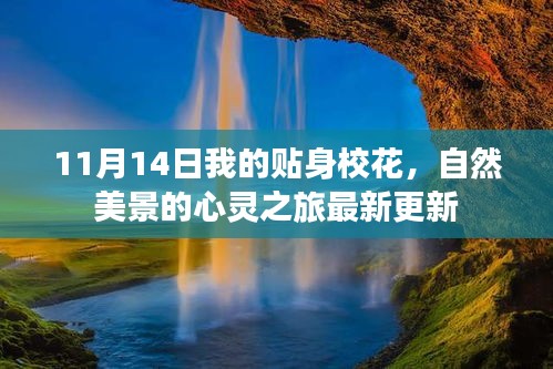 zhendujiangui 第23页