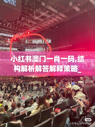 小红书澳门一肖一码,结构解析解答解释策略_CTT2.57.25精简版
