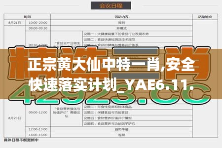 正宗黄大仙中特一肖,安全快速落实计划_YAE6.11.90投影版