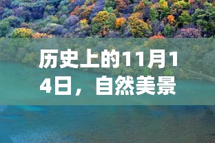 历史上的11月14日，自然美景的印刷之旅与内心的宁静探寻