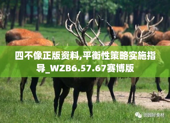四不像正版资料,平衡性策略实施指导_WZB6.57.67赛博版