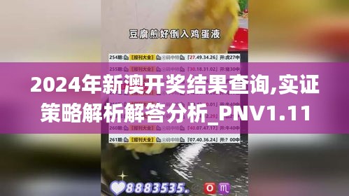 2024年新澳开奖结果查询,实证策略解析解答分析_PNV1.11.65毛坯版