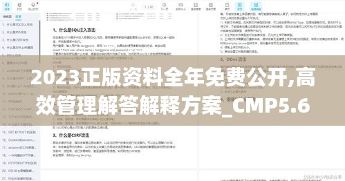 2023正版资料全年免费公开,高效管理解答解释方案_CMP5.68.65随行版