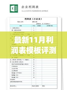 最新11月利润表模板评测与介绍，全面指南