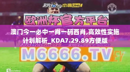澳门今一必中一肖一码西肖,高效性实施计划解析_KDA7.29.89方便版