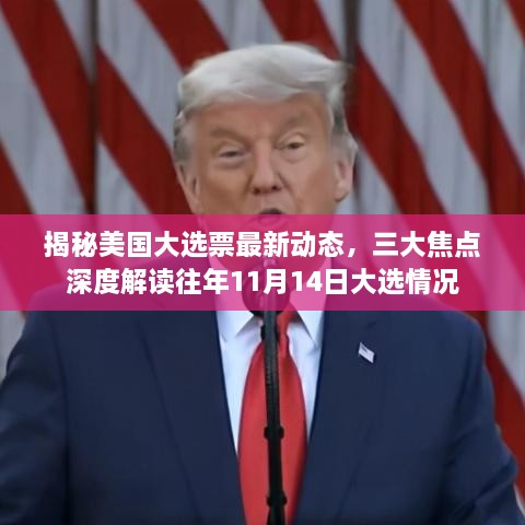 揭秘美国大选票最新动态，三大焦点深度解读往年11月14日大选情况