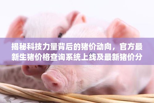 揭秘科技力量背后的猪价动向，官方最新生猪价格查询系统上线及最新猪价分析