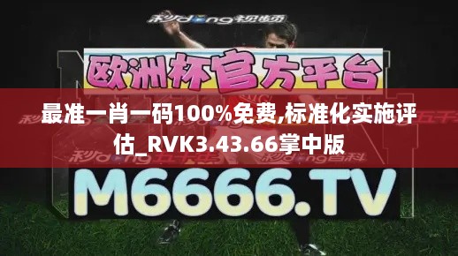 最准一肖一码100%免费,标准化实施评估_RVK3.43.66掌中版