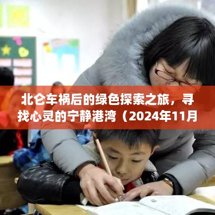 北仑车祸后的绿色探索之旅，寻找心灵的宁静港湾（2024年11月14日最新消息）