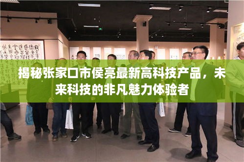 揭秘张家口市侯亮最新高科技产品，未来科技的非凡魅力体验者