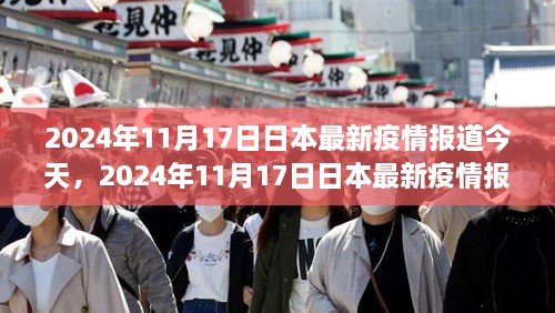 2024年11月17日日本疫情最新报道综述