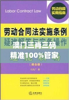 澳门三肖三码精准100%管家婆,精妙解答解释落实_BDW9.30.45方案版