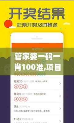 管家婆一码一肖100准,项目管理推进方案_SZG7.30.56传承版