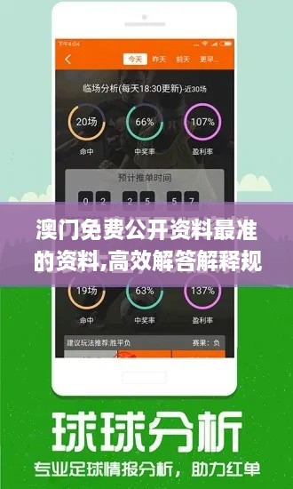澳门免费公开资料最准的资料,高效解答解释规划_WLM2.38.56掌中版
