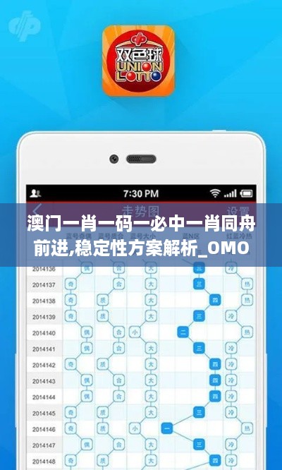 澳门一肖一码一必中一肖同舟前进,稳定性方案解析_OMO2.28.27线上版