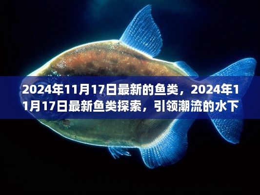 眉飞色舞 第31页