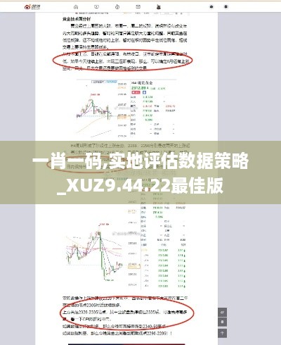 一肖一码,实地评估数据策略_XUZ9.44.22最佳版
