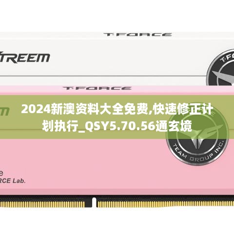 2024新澳资料大全免费,快速修正计划执行_QSY5.70.56通玄境