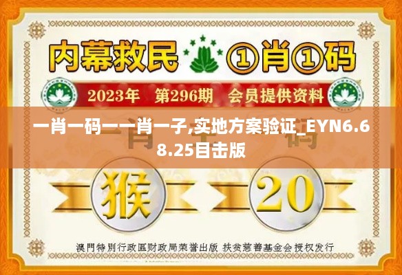 一肖一码一一肖一子,实地方案验证_EYN6.68.25目击版