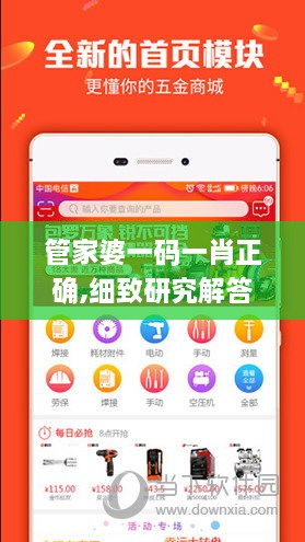 管家婆一码一肖正确,细致研究解答解释计划_TSR6.14.96配送版