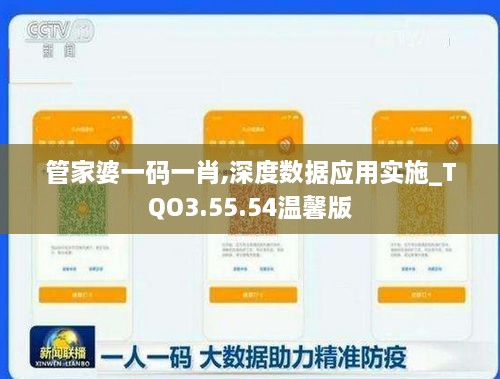 管家婆一码一肖,深度数据应用实施_TQO3.55.54温馨版