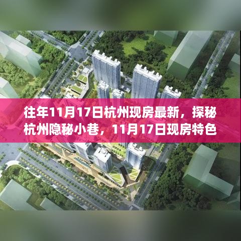 探秘杭州隐秘小巷，11月17日现房特色小店的独特魅力与最新房源展示
