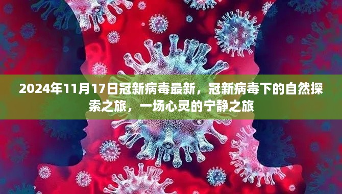 冠新病毒下的自然探索之旅，心灵宁静之旅的启程