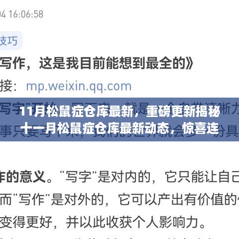 揭秘十一月松鼠症仓库最新动态，重磅更新与惊喜连连看点