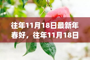 往年11月18日新春指南，迎春好任务全攻略，适合初学者与进阶用户