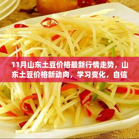 山东土豆最新行情走势，学习变化，自信成就梦想，与土豆共舞的季节