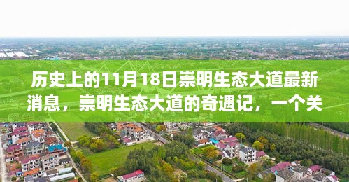 崇明生态大道的奇遇记，友情、爱与陪伴的温馨故事（最新消息）
