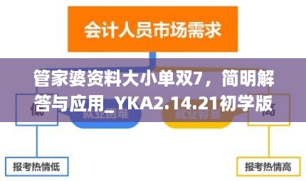 管家婆资料大小单双7，简明解答与应用_YKA2.14.21初学版