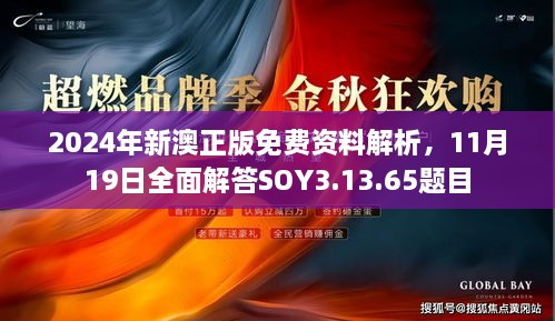 2024年新澳正版免费资料解析，11月19日全面解答SOY3.13.65题目