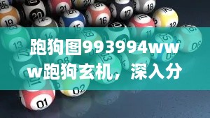 跑狗图993994www跑狗玄机，深入分析实施计划_GJE6.12.62版本