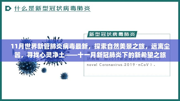 肝胆相照 第31页