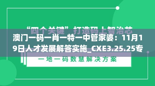 澳门一码一肖一特一中管家婆：11月19日人才发展解答实施_CXE3.25.25专用版