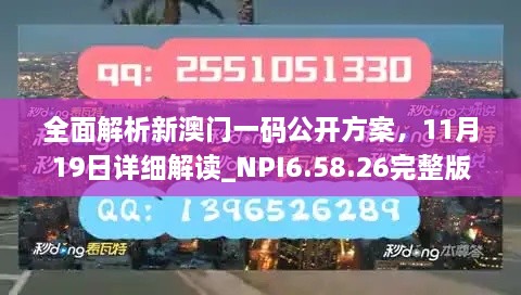 全面解析新澳门一码公开方案，11月19日详细解读_NPI6.58.26完整版